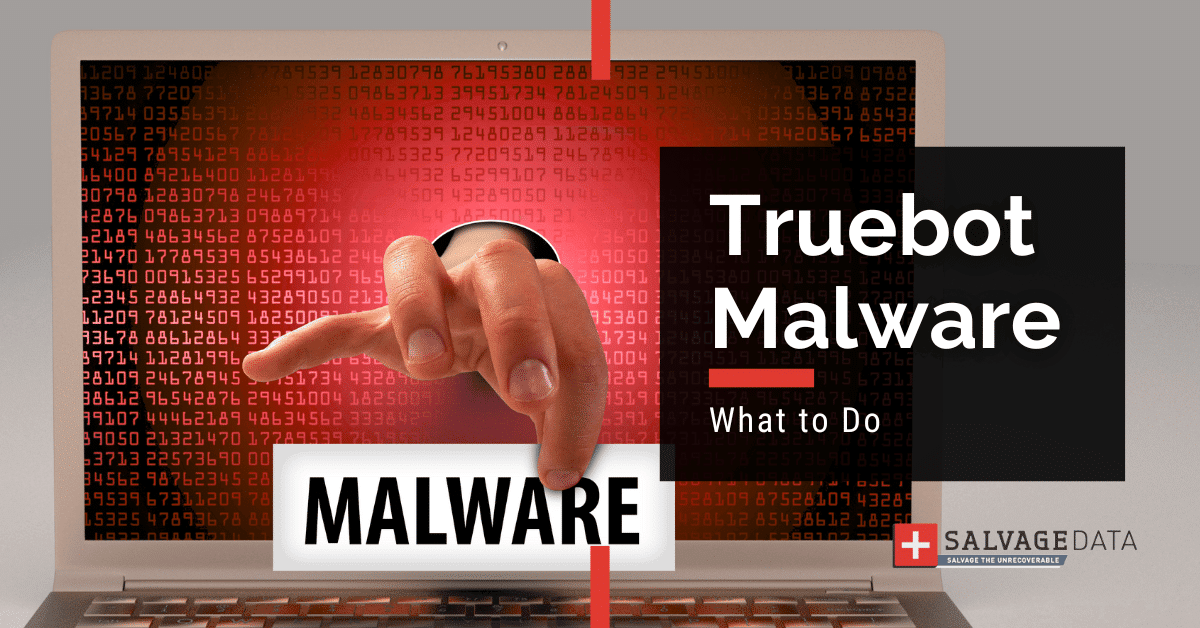 Malware TrueBot: Panduan Lengkap
