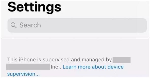Cara Menghapus Profil Mobileiron MDM di iPhone/iPad